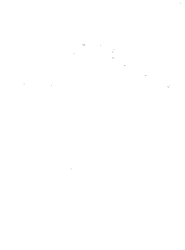 RIDEV logo